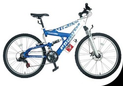 POLYGON VECTOR Review