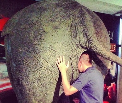 hotel hostel bangkok culo del elefante elephant ass