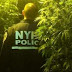 NY: Confiscan 800 plantas de marihuana en edificio de El Bronx