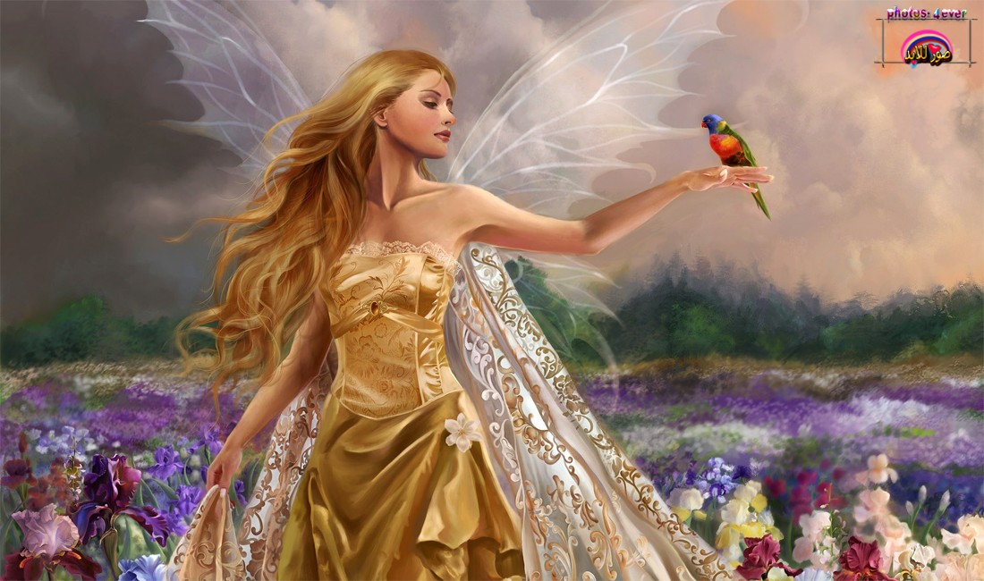 صور خلفيات انمي محاربات وملكات خيال 2016 صور للابد