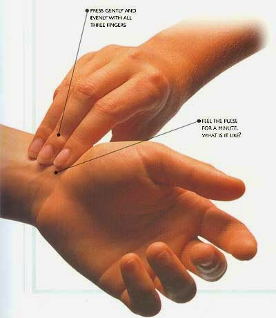 Пульс на запястье руки. Прощупывание пульса на запястье. Как правильно измерять пульс. Измерение пульса на руке. Место измерения пульса на руке.