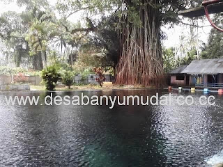 administrasi perkantoran: pemandian moga