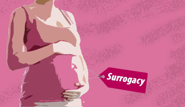 commercial surrogacy