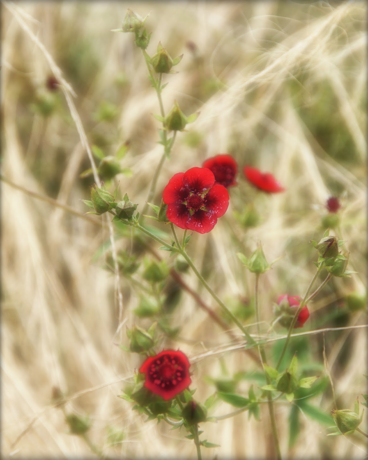 Burgerportal Bergisch Gladbach Nachrichten Hintergrunde Termine
