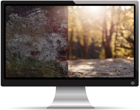 Mur de Briques dans la Forêt - Fond d'Écran en Ultra HD 4k 2160p