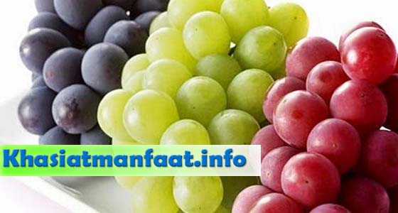 Khasiat Dan Manfaat Buah Anggur Khasiat Dan Manfaat Buah Anggur