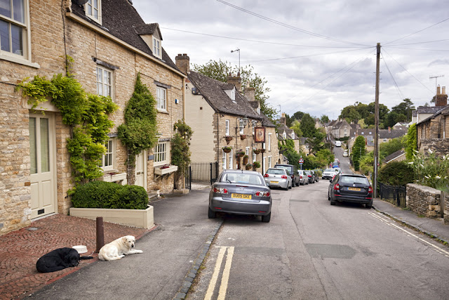 Two laxy dogs on Sheep Street in the Cotswold town of Charlbury by Martyn Ferry Photography