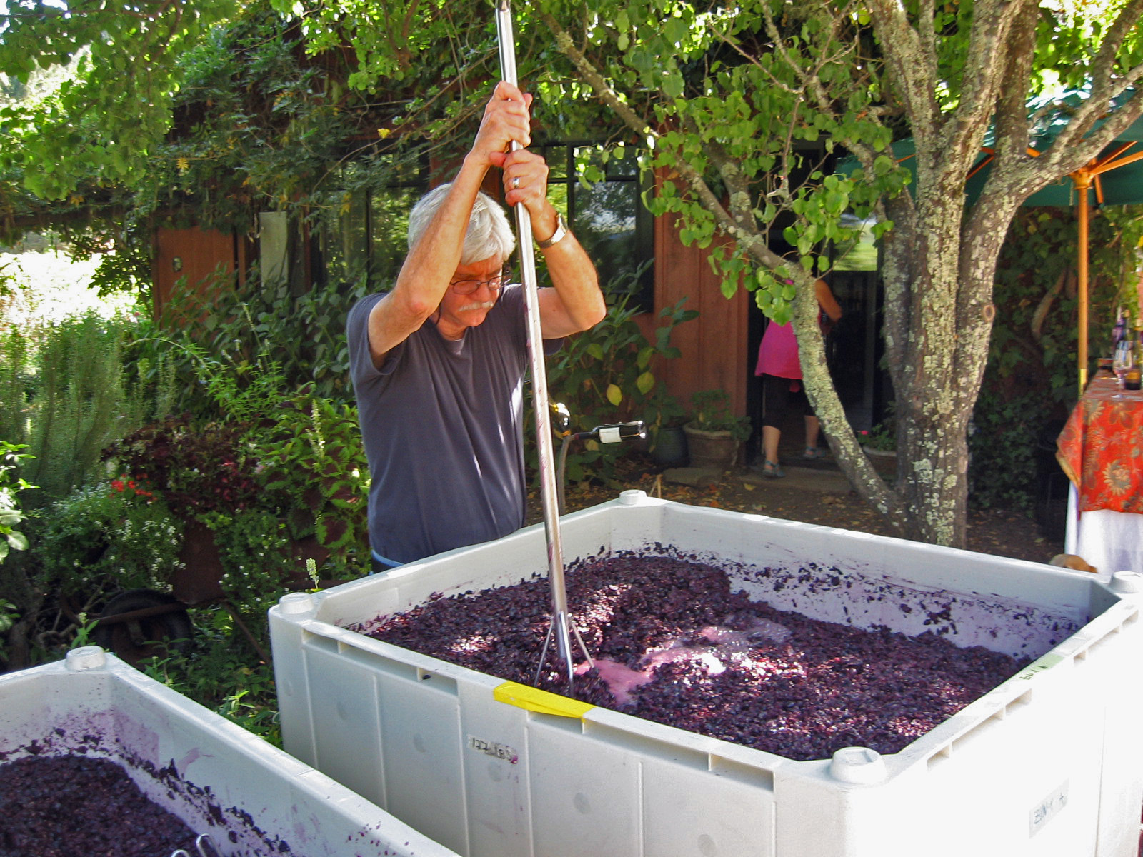 Bach to Bacchus Tres Sabores Winery