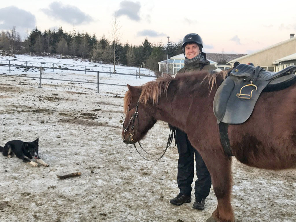 making restorations blog Icelandic ponies making restorations blog Icelandic ponies