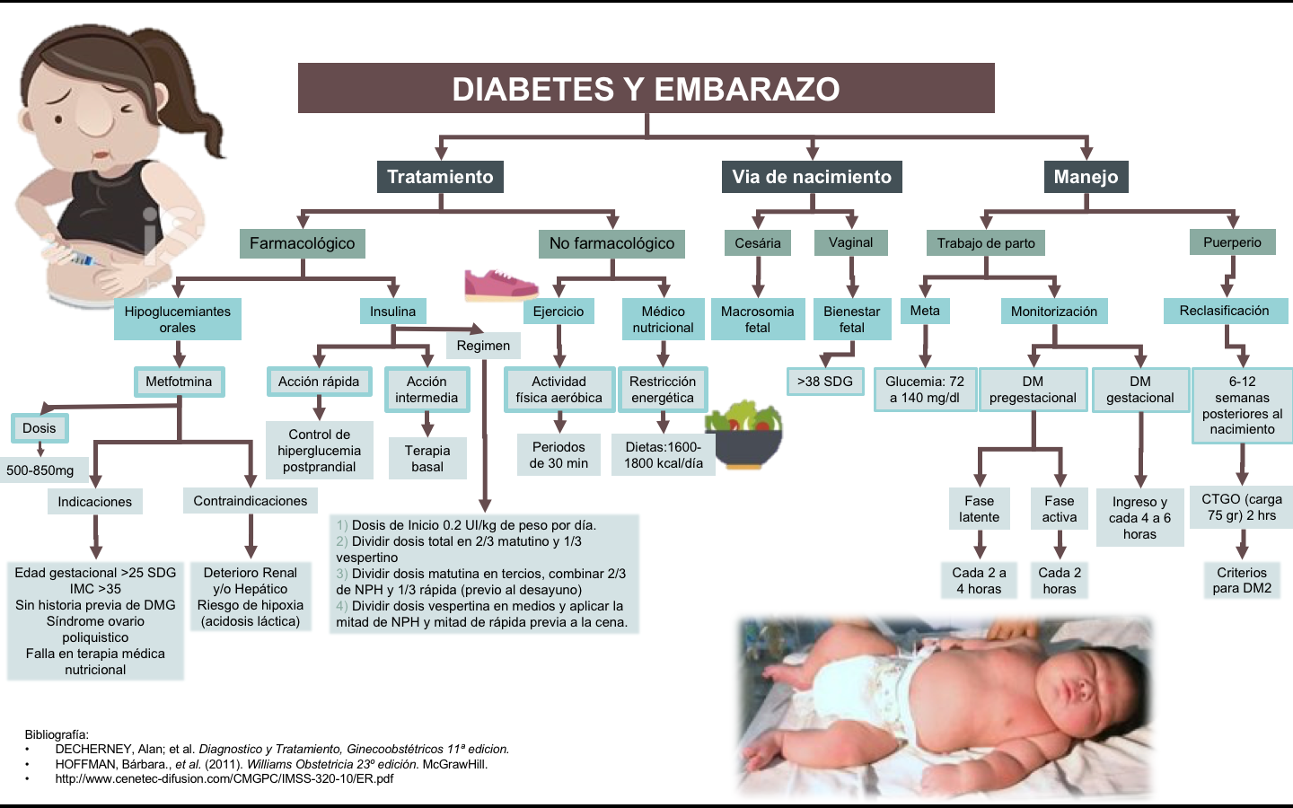 feto de 12 semanas y 1 diabetes feto de 12 semanas y 1 diabetes