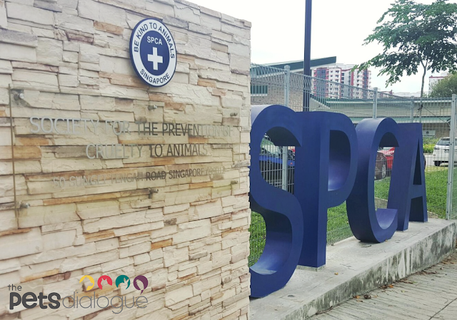 SPCA New Choa Chu Kang