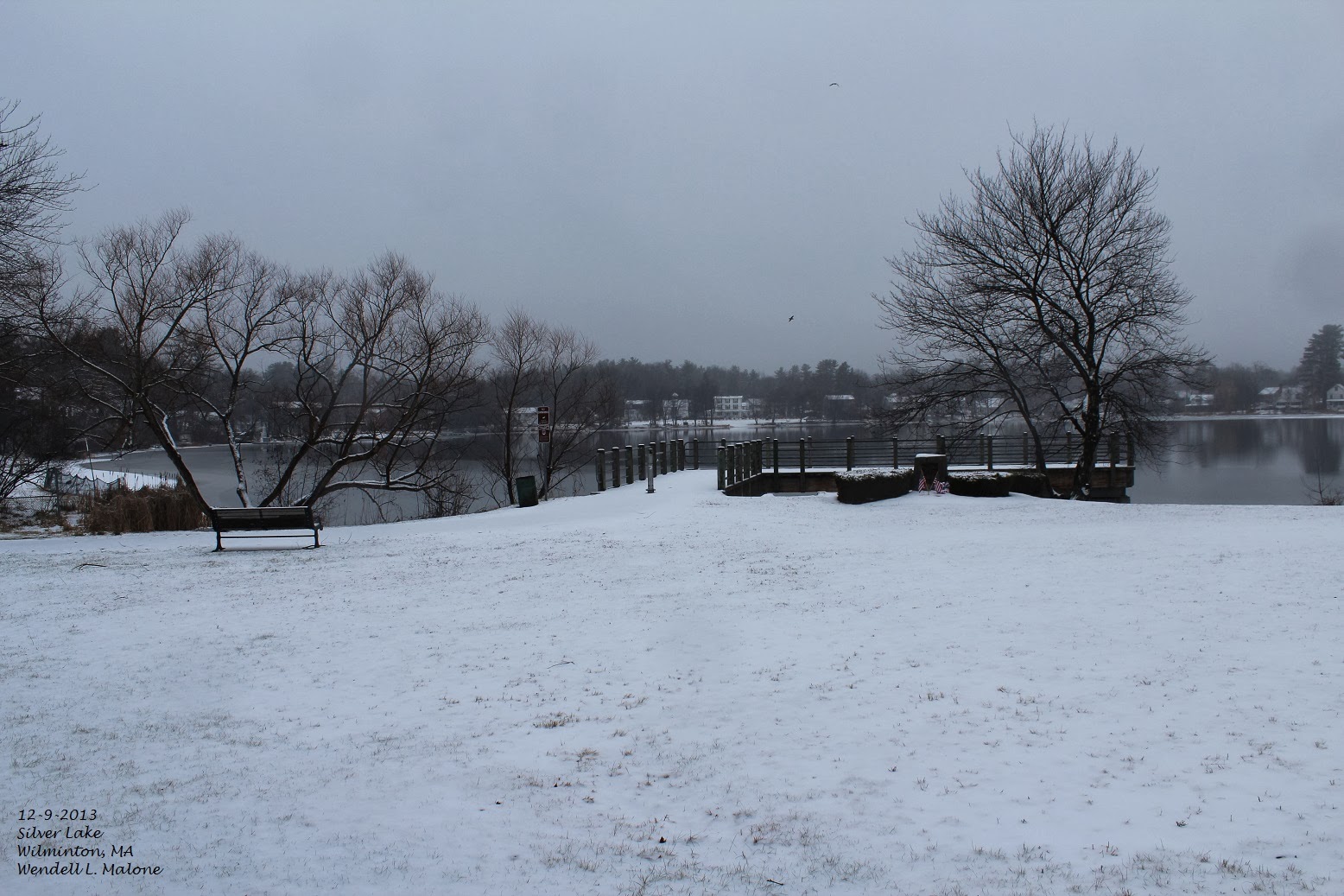 Lobster Trap Christmas Tree Kittery, Maine. 12112013.