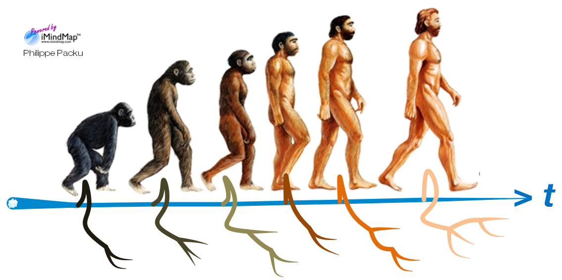 Процесс превращения человека в обезьяну. Превращение обезьяны в человека. Этапы превращения обезьяны в человека. Произошли от обезьян. Человек произошел от обезьяны.