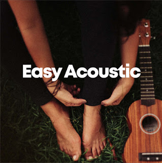 MP3 download Various Artists - Easy Acoustic iTunes plus aac m4a mp3