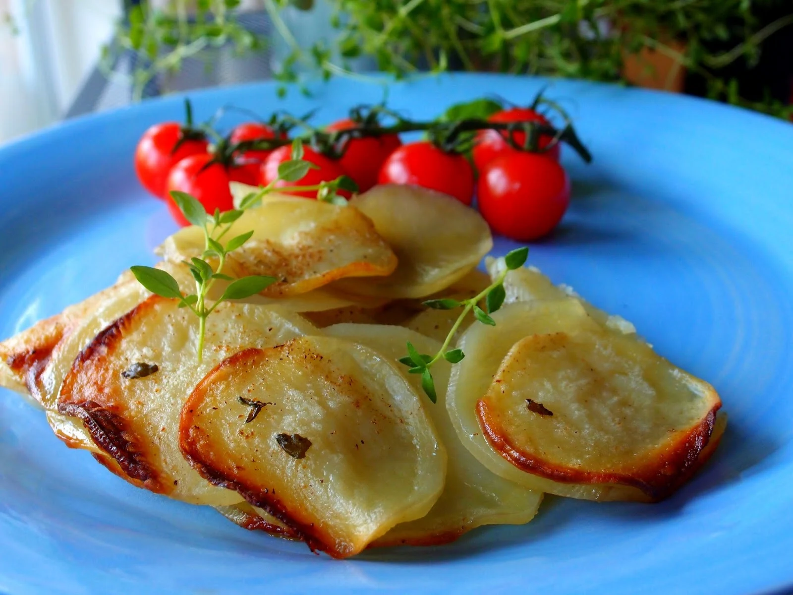 The VegHog: Galette de pommes de terre