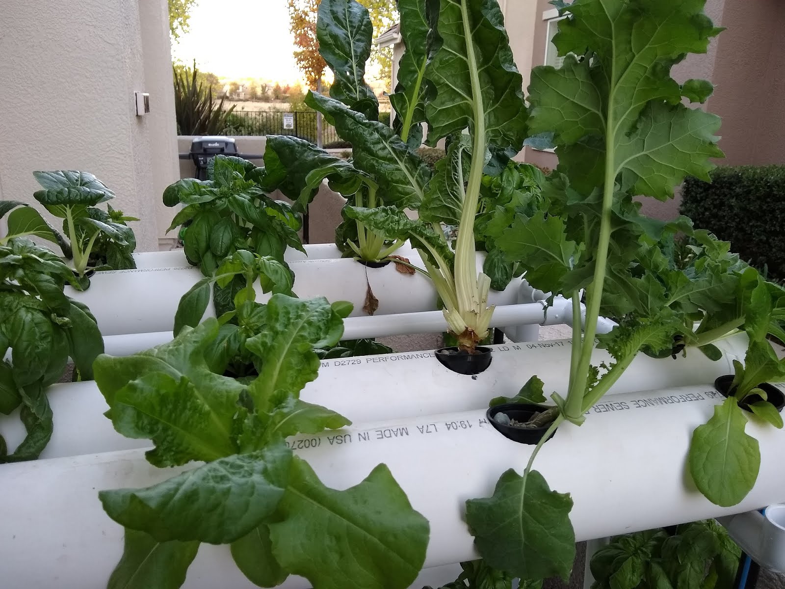 Portable Hydroponic Market Gardening 72 Plant Nft Vertical
