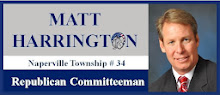 Naperville Tpwnship Republican Committeeman #34