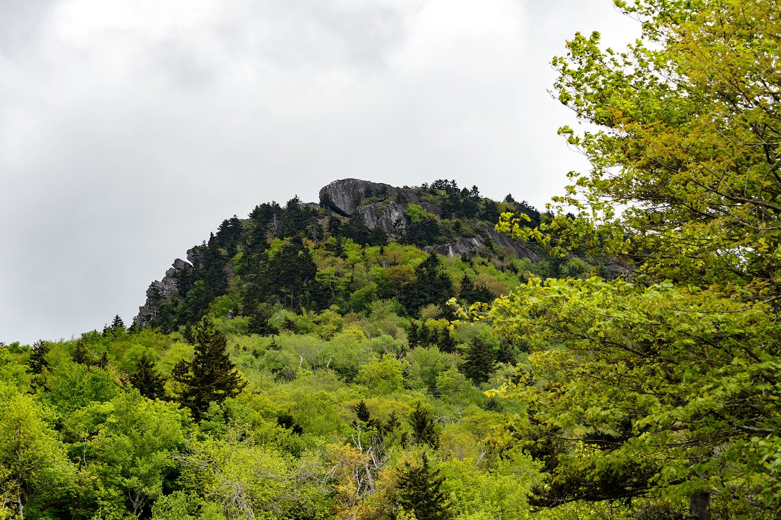 Bubba's Garage Grandfather Mountain Road Trip