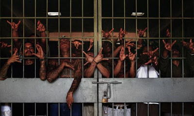 EIGHTY SIX CHANNEL GANG OF THE DAY Mara Salvatrucha 13 MS13 