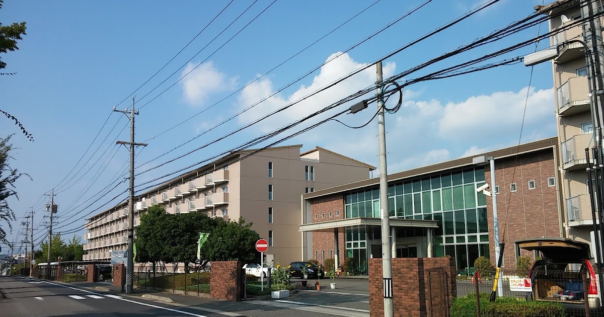 結局のところ、ゾウはなぜジャンプできないのでしょうか?