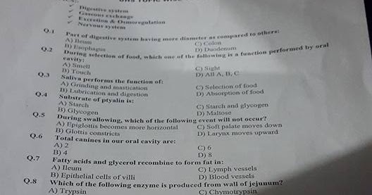 my hobby essay in english for class 3 my hobby essay in english for class 3