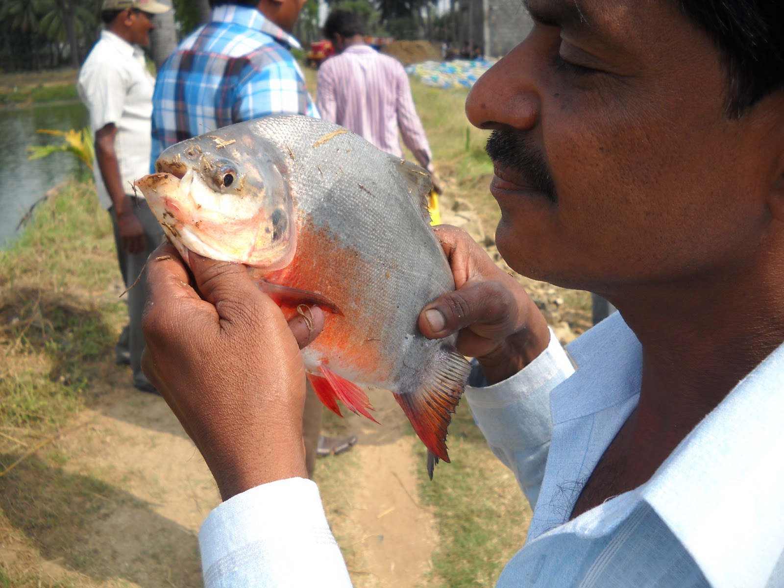 Deccan AnglerLatest fishing reports Fishing trips Fishing tackle