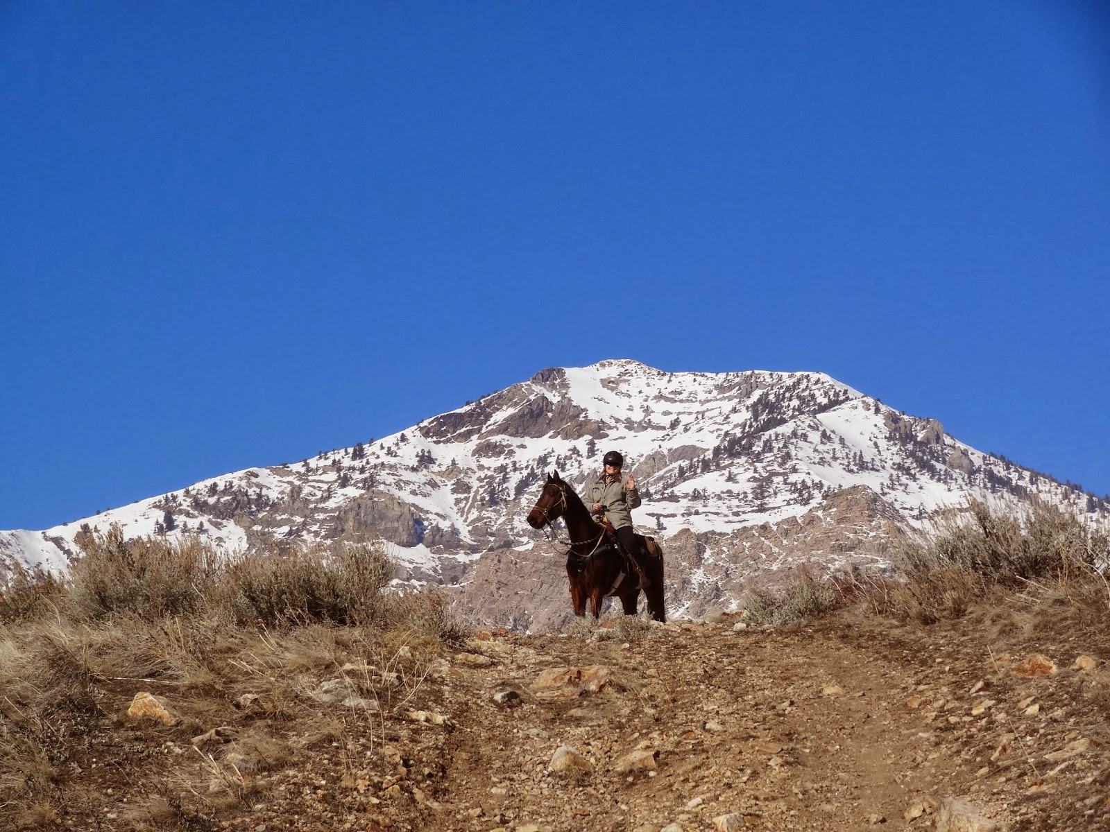 Dream Packer Trail Adventures North Ogden, Bonneville Shoreline
