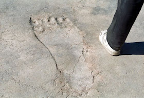 Nephilim Giants and their huge ancient footprints have set in stone. Nephilim Giants and their huge ancient footprints have set in stone.