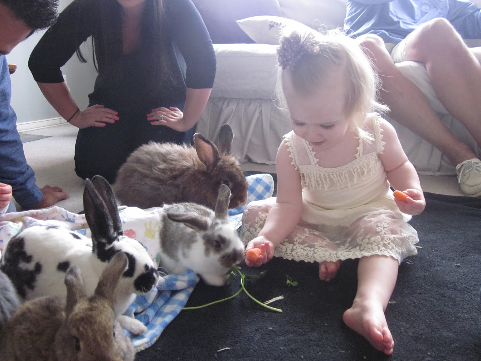 Queen B Creates: Peter Rabbit Birthday Party