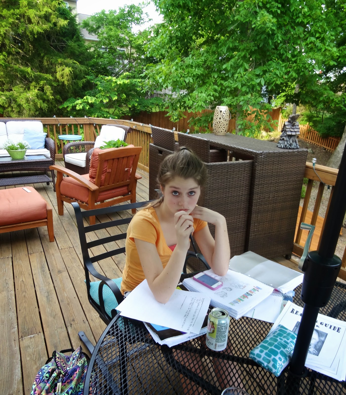 EARLY RISING ON CHAUTAUQUA LAKE Sunny and Hot In Virginia