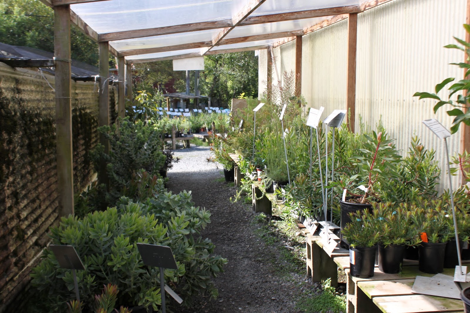 Half Moon Bay Nursery