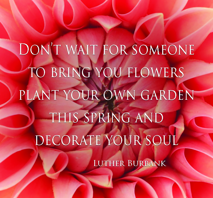 From the Summer's Garden DON'T WAIT FOR SOMEONE TO GIVE YOU FLOWERS