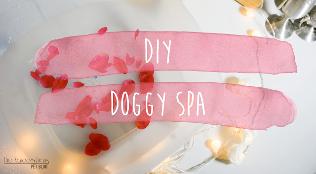 DIY Dog Spa (with Recipes and Recommended Products)