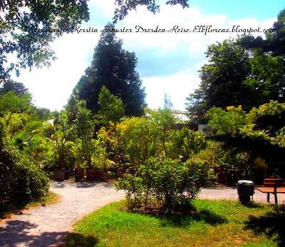 Botanischer Garten Dresden