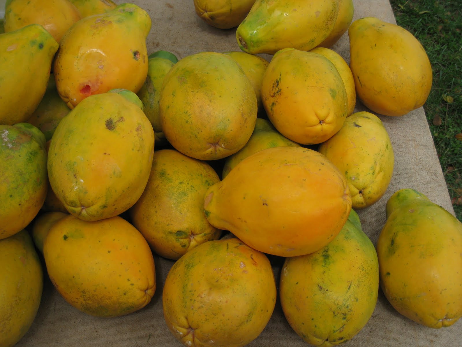 Tasty Travels... food talks, I listen Hanapepe Farmer's Market