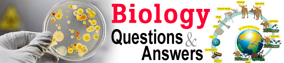Biology Multiple Choice GK Questions and Answers MCQ