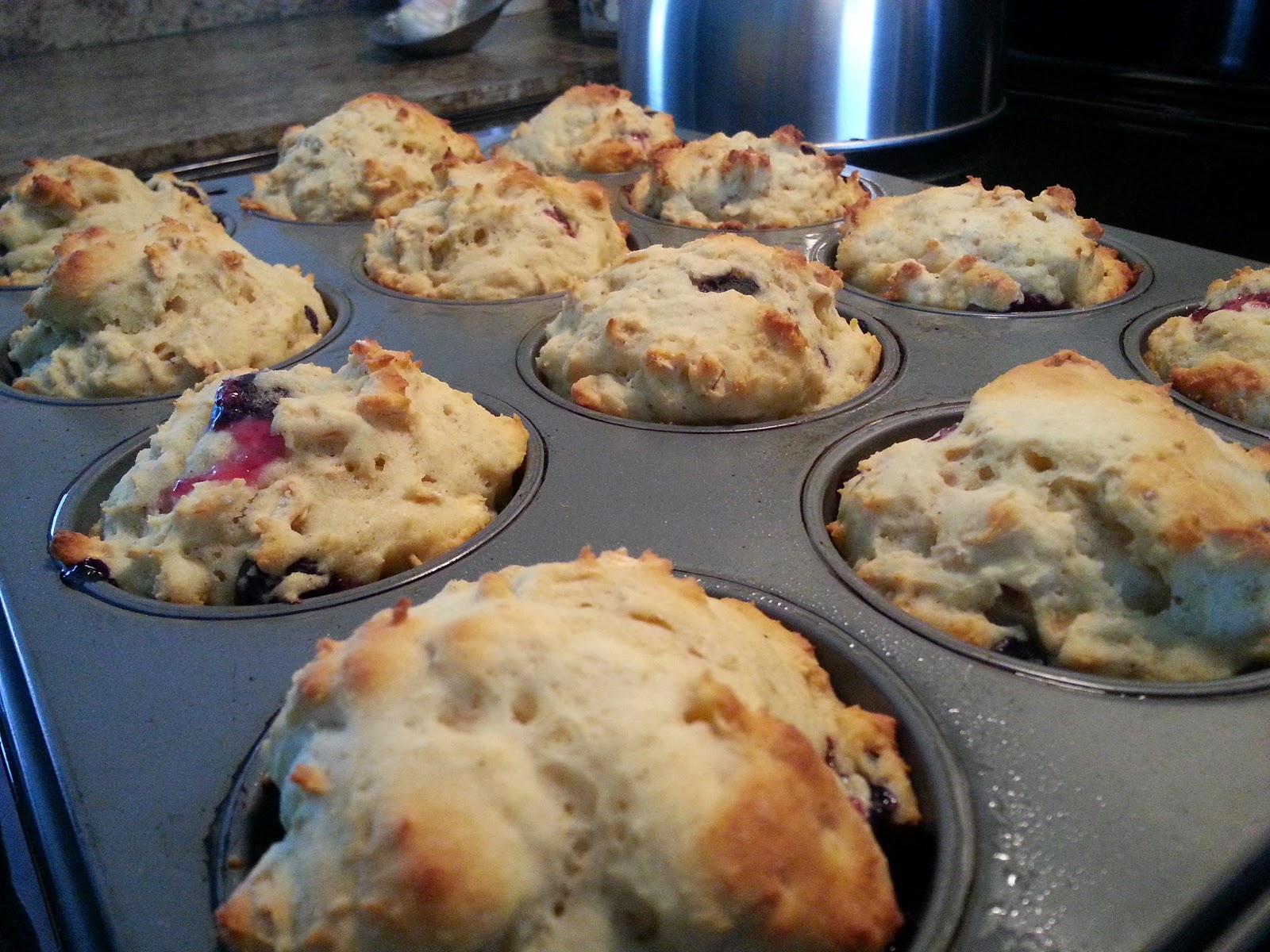 BlueberryOat Yogurt Muffins Lindsey Ghoens