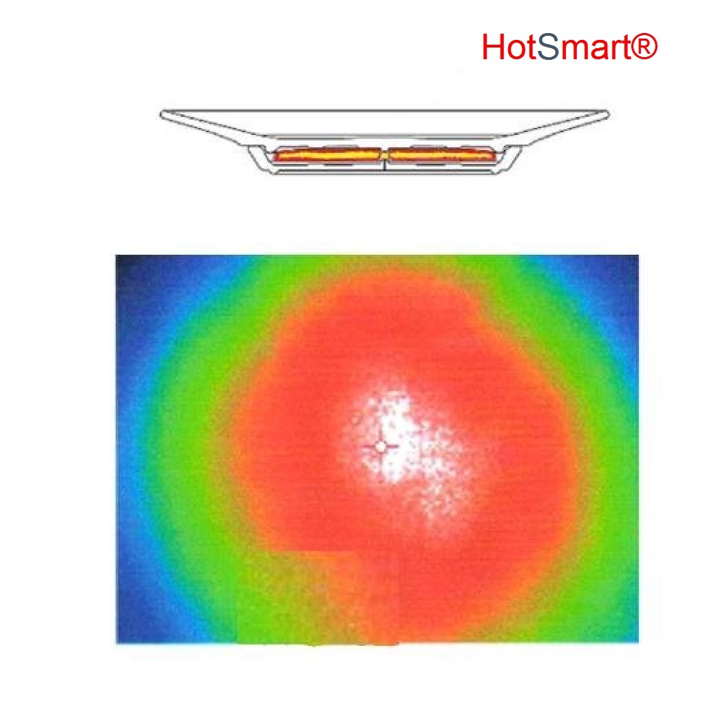 HotSmart Plates Smart Features 2