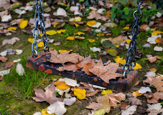 11150555_10153162936054098_1098019844068