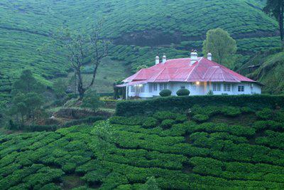 Munnar Tour Packages Munnar Holiday Packages Munnar Tourism