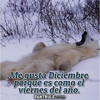imagenes bienvenido diciembre frases