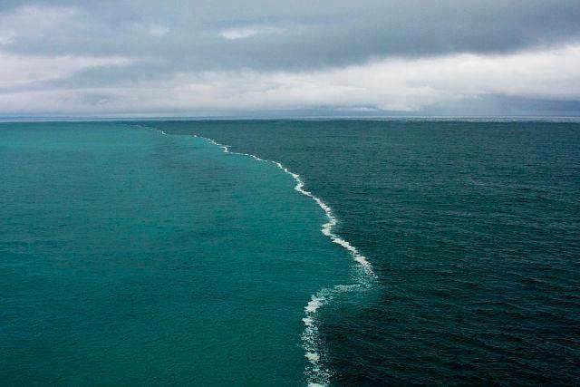 Mar Con Rio Pensando e Aprendendo: Rio e Oceano