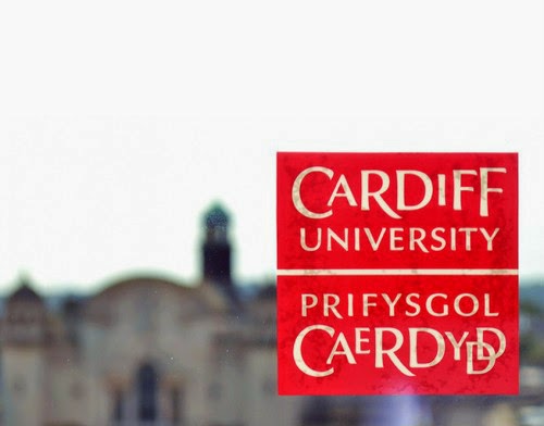 Cardiff City Car Sticker Cardiff City Car Sticker