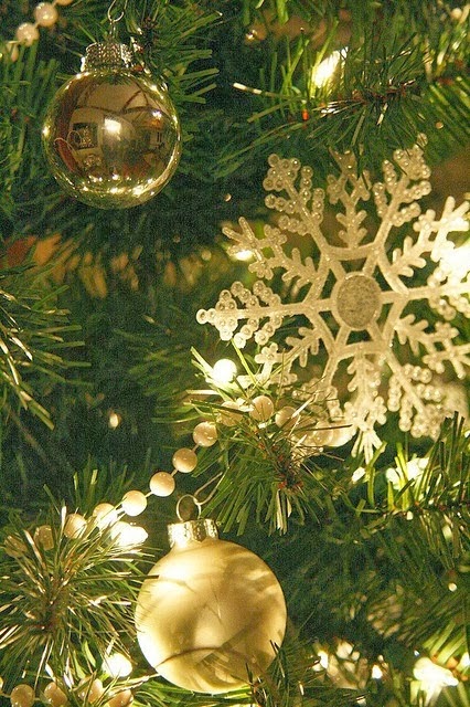 Christmas tree oh christmas tree Christmas Tree oh Christmas Tree | Fantastic Materials