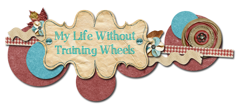 My Life Without Training Wheels