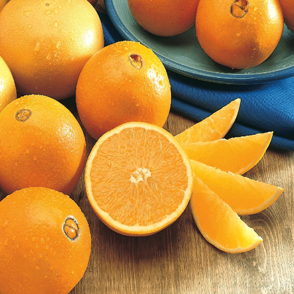 manfaat-jeruk-navel