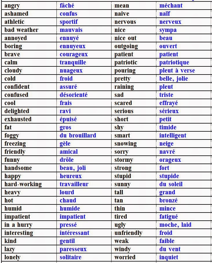 Learn French French Adjectives