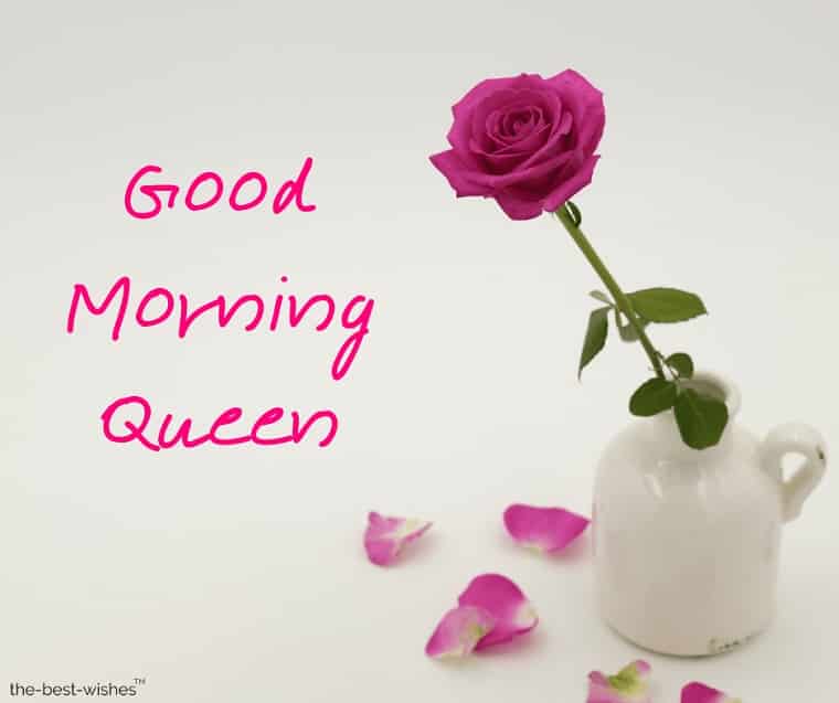 101 Good Morning My Queen Images Best Collection