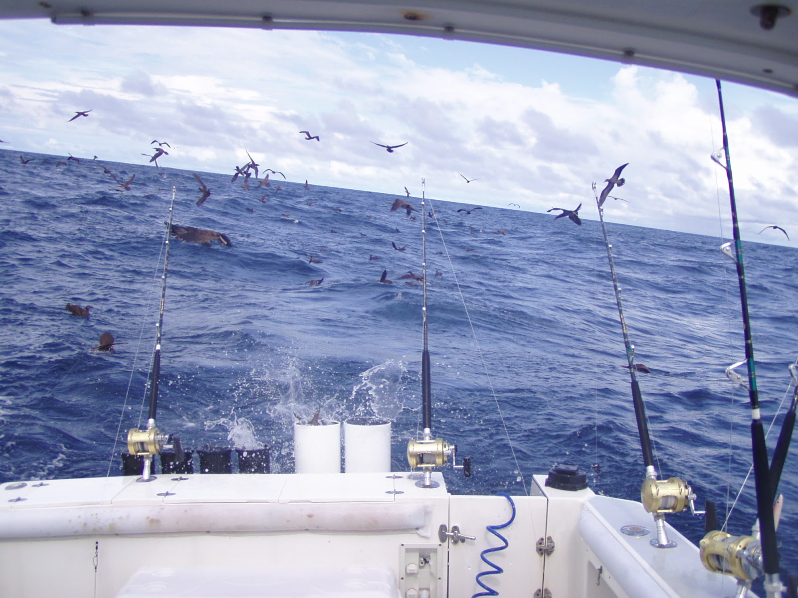 Albin 28 Albin 28 Fishing Machine.