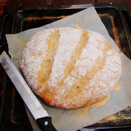 no knead artisan bread, homemade artisan bread